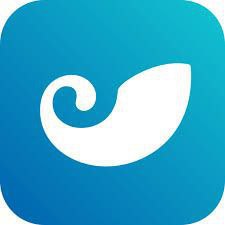tokenim正版app下载