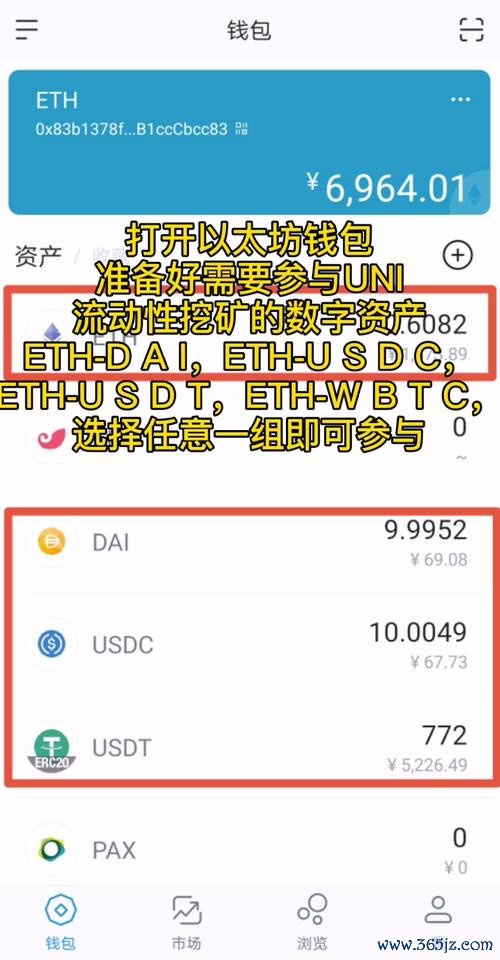 imtoken钱包官方下载app 官网下载tokenim钱包后如何合理设置与配置以优化数字资产管理