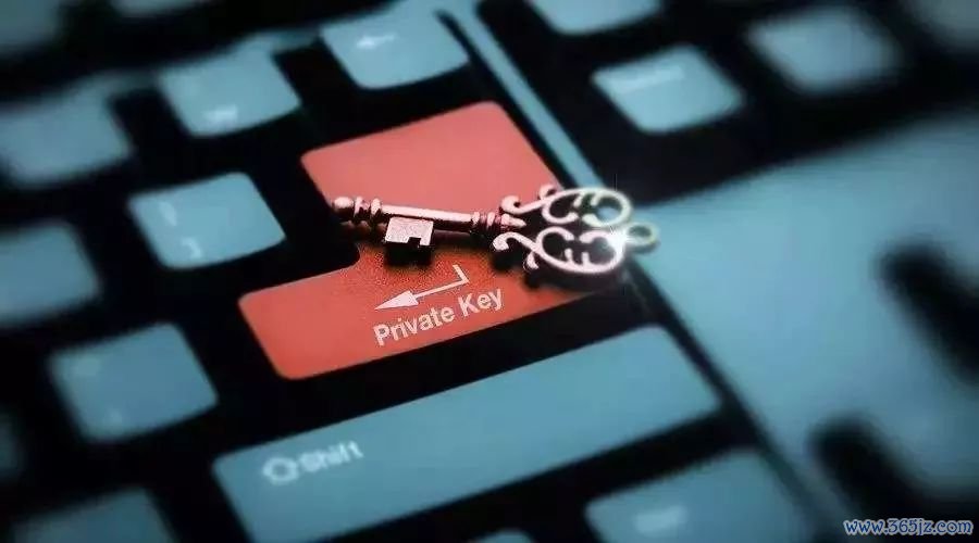 android钱包_im钱包APP安卓下载与设置全解析_钱包app是干嘛的